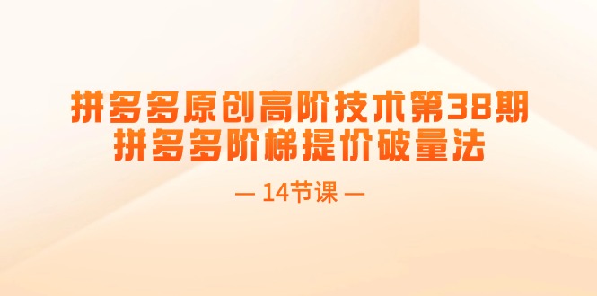 图片[1]-拼多多原创高阶技术第38期，拼多多阶梯提价破量法（14节课）-阿灿说钱