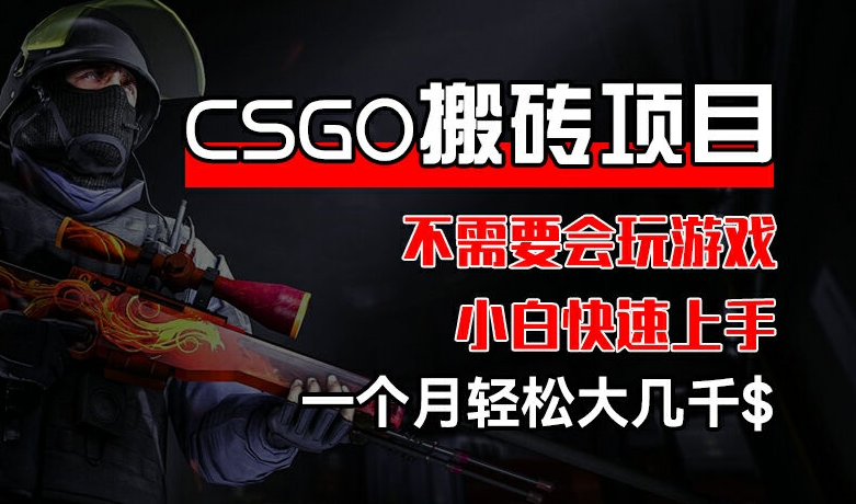 CSGO 装备搬砖项目,操作简单,不需要会玩游戏,小白也能快速上手,一个月轻松大几千【揭秘】 -1 CSGO 装备搬砖项目,操作简单,不需要会玩游戏,小白也能快速上手,一个月轻松大几千【揭秘】 -1