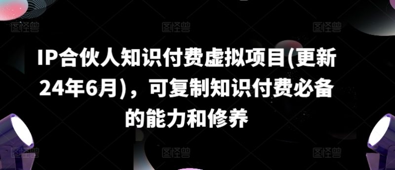 IP合伙人知识付费虚拟项目(更新24年6月)，可复制知识付费必备的能力和修养-阿灿说钱