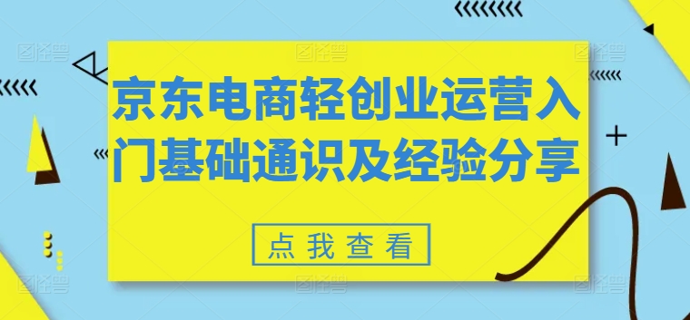 京东电商轻创业运营入门基础通识及经验分享-阿灿说钱