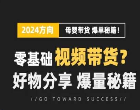 短视频母婴赛道实操流量训练营，零基础视频带货，好物分享，爆量秘籍-阿灿说钱