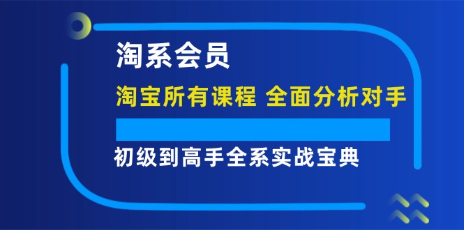 淘系会员【淘宝所有课程，全面分析对手】，初级到高手全系实战宝典-阿灿说钱