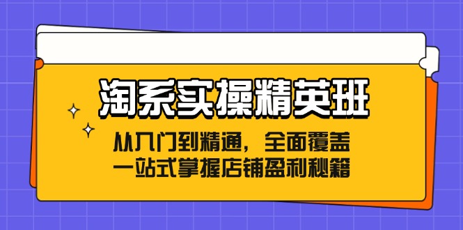 淘系实操精英班：从入门到精通，全面覆盖，一站式掌握店铺盈利秘籍-阿灿说钱