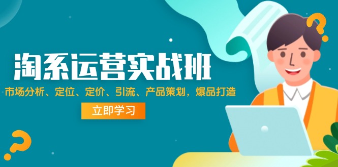 淘系运营实战班：市场分析、定位、定价、引流、产品策划，爆品打造-阿灿说钱