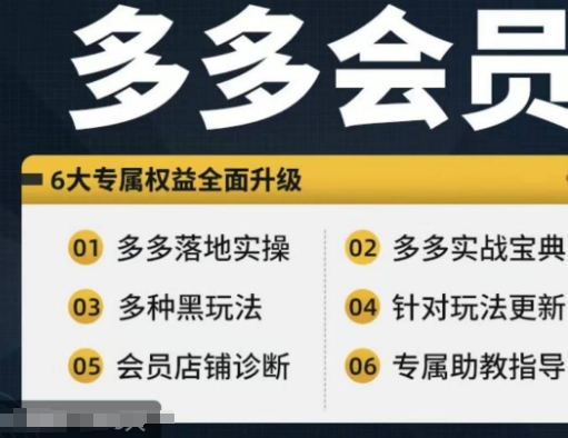 拼多多会员，拼多多实战宝典+实战落地实操，从新手到高阶内容全面覆盖-阿灿说钱