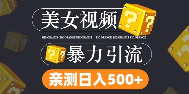 搬运TK美女视频全网分发，日引S粉300+，轻松变现，不限流量不封号【揭秘】 -1