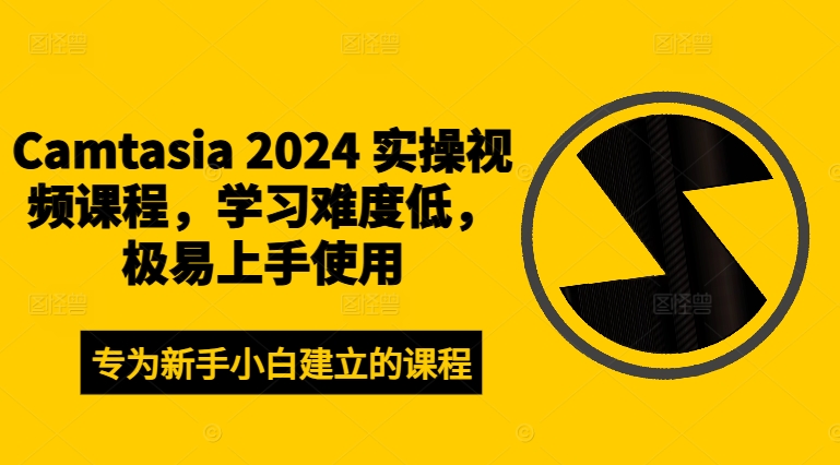 CAMTASIA 2024 实操视频课程，学习难度低，极易上手使用-阿灿说钱