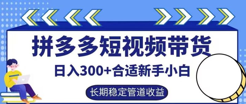 拼多多短视频带货日入300+有长期稳定被动收益，合适新手小白【揭秘】-阿灿说钱
