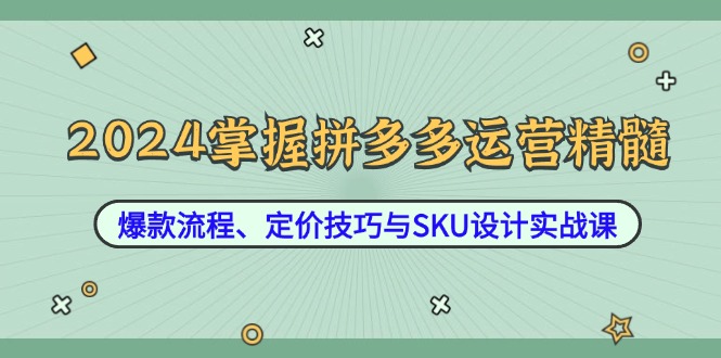 2024掌握拼多多运营精髓:爆款流程、定价技巧与SKU设计实战课 -1 2024掌握拼多多运营精髓:爆款流程、定价技巧与SKU设计实战课 -1