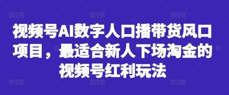 视频号AI数字人口播带货风口项目，最适合新人下场淘金的视频号红利玩法-阿灿说钱