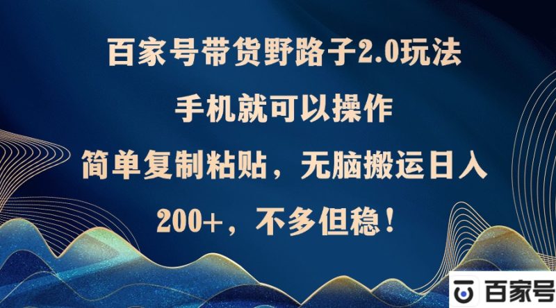 百家号带货野路子2.0玩法，手机就可以操作，简单复制粘贴，无脑搬运-阿灿说钱