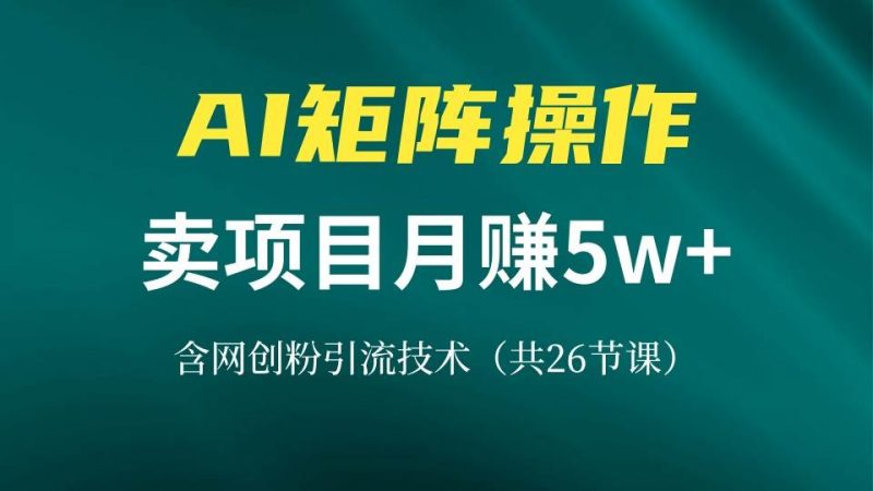 网创IP打造课,借助AI卖项目月赚5万+,含引流技术(共26节课) -1 网创IP打造课,借助AI卖项目月赚5万+,含引流技术(共26节课) -1