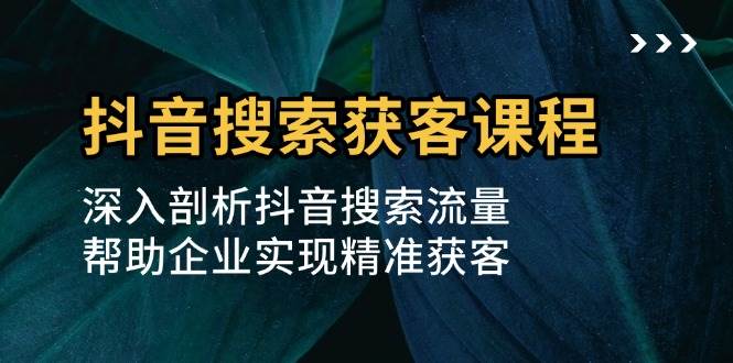 抖音搜索获客课程：深入剖析抖音搜索流量，帮助企业实现精准获客-阿灿说钱