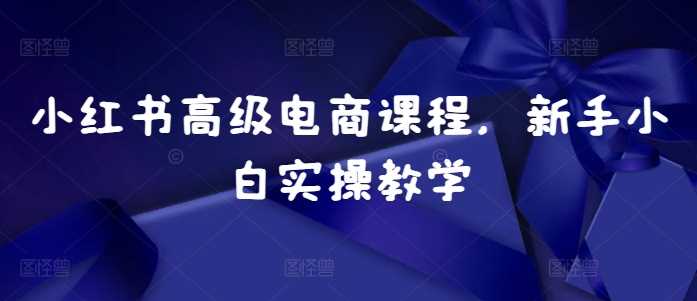小红书高级电商课程,新手小白实操教学 -1 小红书高级电商课程,新手小白实操教学 -1