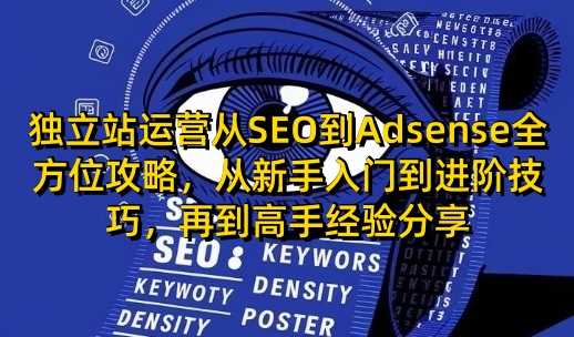 独立站运营从SEO到Adsense全方位攻略，从新手入门到进阶技巧，再到高手经验分享-阿灿说钱