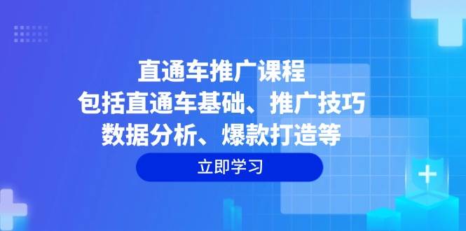 直通车推广课程：包括直通车基础、推广技巧、数据分析、爆款打造等-阿灿说钱