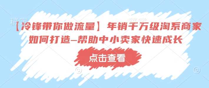 【冷锋带你做流量】年销千万级淘系商家如何打造–帮助中小卖家快速成长-阿灿说钱