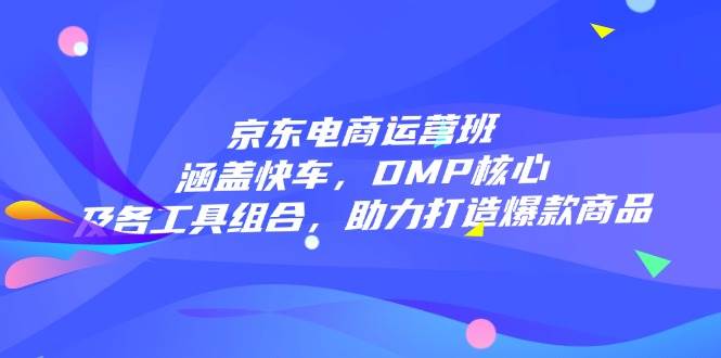 京东电商运营班：涵盖快车，DMP核心及各工具组合，助力打造爆款商品-阿灿说钱
