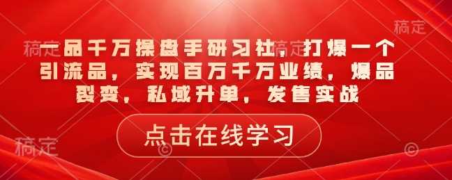 一品千万操盘手研习社，打爆一个引流品，实现百万千万业绩，爆品裂变，私域升单，发售实战-阿灿说钱