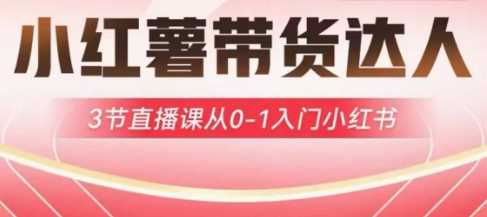 小红薯达人带货启航计划，3节直播课从0-1入门小红书-阿灿说钱