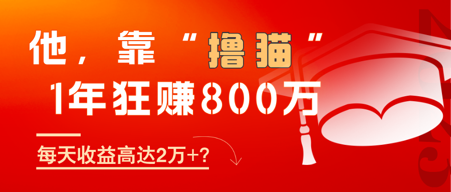 他，靠“撸猫”1年狂赚800万，每天收益高达2万+？-阿灿说钱