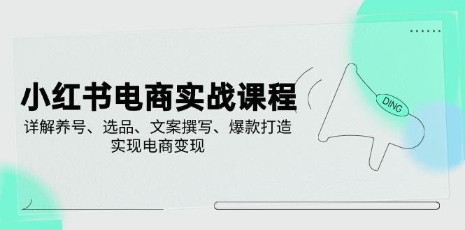 小红书电商实战课程，详解养号、选品、文案撰写、爆款打造，实现电商变现-阿灿说钱