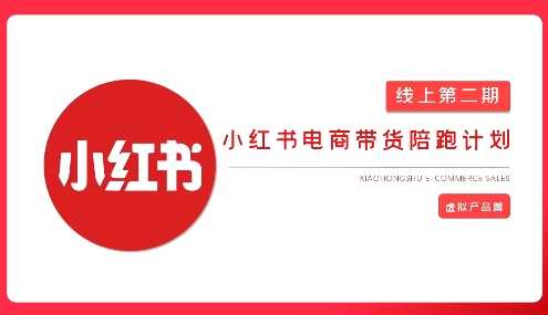 2025小红书虚拟电商实战课,从0到1打造无货源店铺,AI+爆款笔记轻松变现 -1 2025小红书虚拟电商实战课,从0到1打造无货源店铺,AI+爆款笔记轻松变现 -1