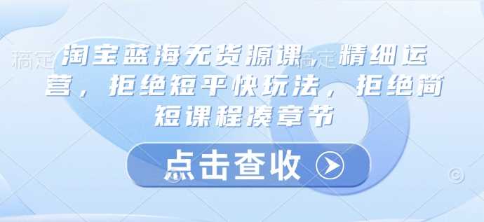 淘宝蓝海无货源课，精细运营，拒绝短平快玩法，拒绝简短课程凑章节-阿灿说钱