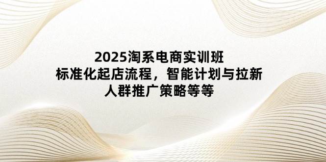 2025淘系电商实训班：标准化起店流程，智能计划与拉新，人群推广策略等等-阿灿说钱