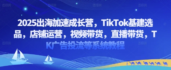 2025出海加速成长营，TikTok基建选品，店铺运营，视频带货，直播带货，TK广告投流等系统教程-阿灿说钱