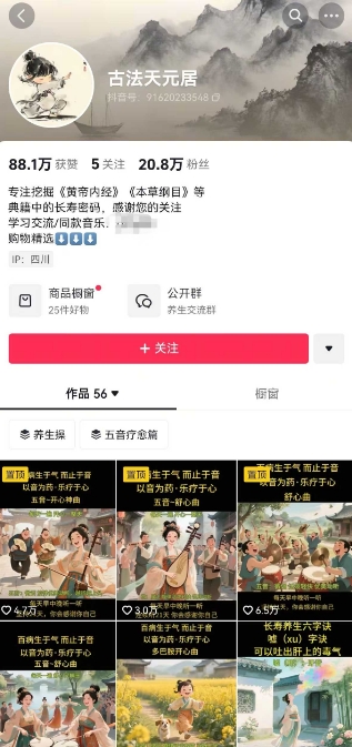 古法五音养生教程,五音疗愈的视频的制作方法,2-4小时就能学会,作者10天涨粉10W -2 古法五音养生教程,五音疗愈的视频的制作方法,2-4小时就能学会,作者10天涨粉10W -2