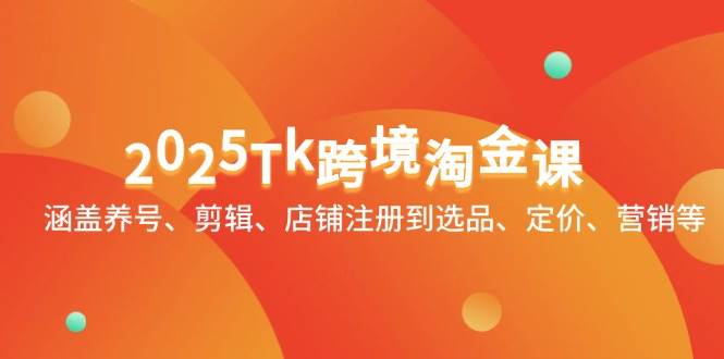 2025Tk跨境淘金课：涵盖养号、剪辑、店铺注册到选品、定价、营销等-阿灿说钱