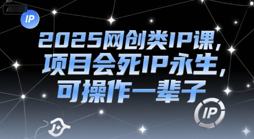 2025网创类IP课，项目会死IP永生，可操作一辈子-阿灿说钱