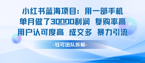 小红书蓝海项目,一部手机单月做了3W利润,小白也能月入过1W用户认可度高成交多 -1 小红书蓝海项目,一部手机单月做了3W利润,小白也能月入过1W用户认可度高成交多 -1