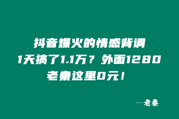 抖音爆火的情感背调，1天搞了11985元？外面1280，老秦这里0元！-阿灿说钱