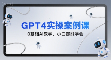 GPT4实操案例课，0基础AI教学，小白都能学会-阿灿说钱