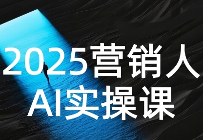 2025营销人Al实操课，AI营销抢跑实战，从Prompt到方案，效率碾压同行-阿灿说钱