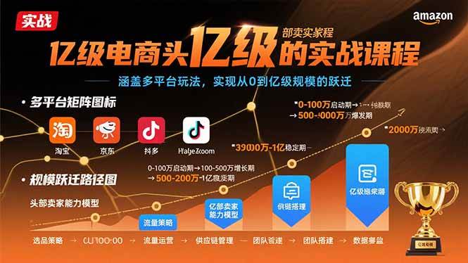 亿级电商头部卖家的实战课程：涵盖多平台玩法，实现从0到亿级规模的跃迁-阿灿说钱
