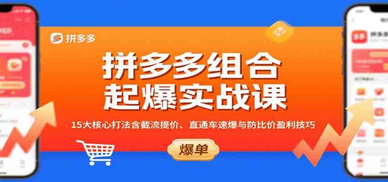 拼多多组合起爆实战课：15大核心打法含截流提价、直通车速爆与防比价盈利技巧-阿灿说钱