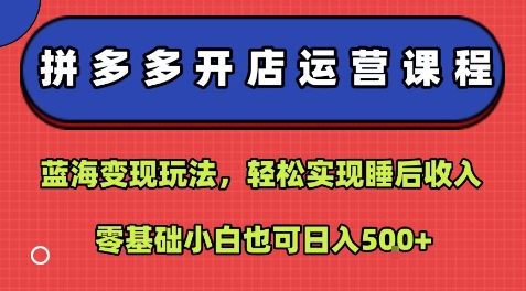 拼多多开店运营课程：蓝海变现玩法，轻松实现睡后收入，零基础小白也可日入5张-阿灿说钱