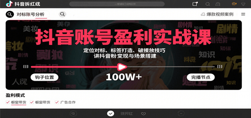抖音账号盈利实战课，定位对标、标签打造、破播放技巧，讲涨粉变现与场景搭建-阿灿说钱