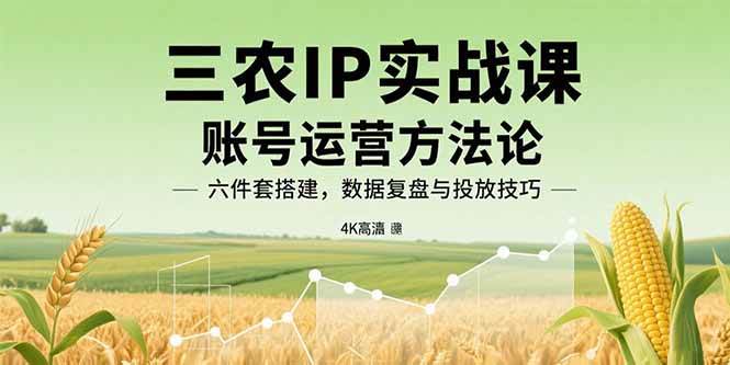 三农IP实战课:账号运营方法论,六件套搭建,数据复盘与投放技巧 -1 三农IP实战课:账号运营方法论,六件套搭建,数据复盘与投放技巧 -1