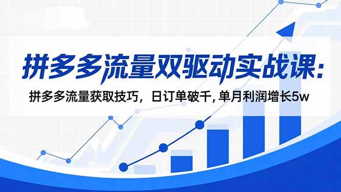 拼多多流量双驱动实战课:拼多多流量获取技巧,日订单破千,单月利润增长5w -1 拼多多流量双驱动实战课:拼多多流量获取技巧,日订单破千,单月利润增长5w -1