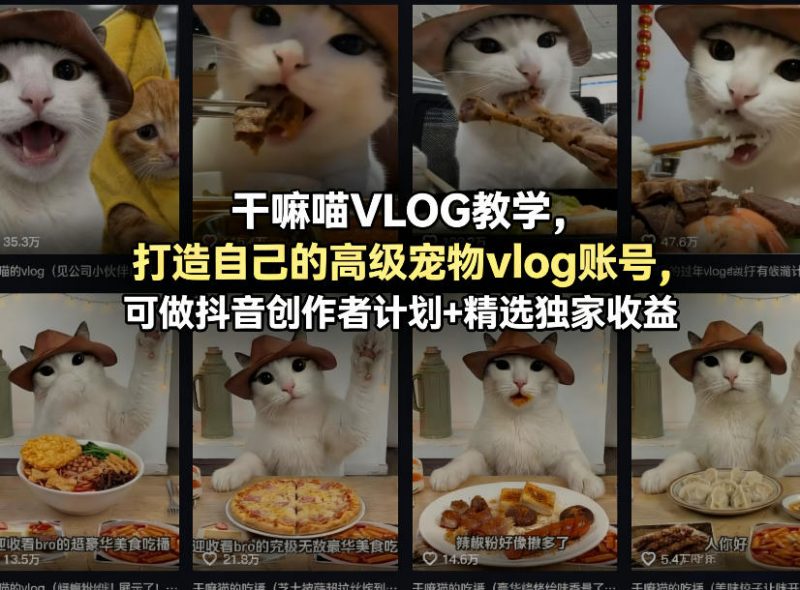 干嘛喵VLOG教学，打造自己的高级宠物vlog账号，可做抖音创作者计划+精选独家收益-阿灿说钱