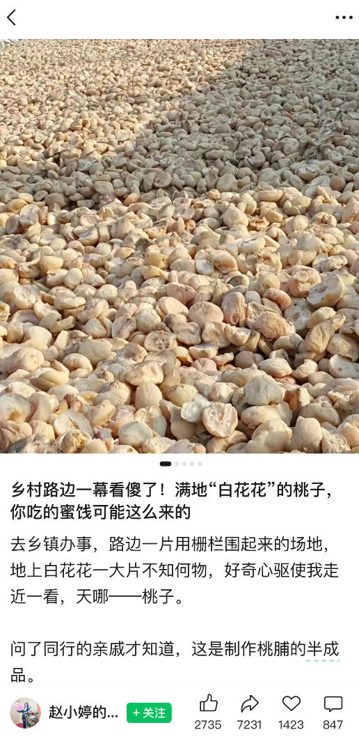 公众号小绿书贴图项目，赚收益实操玩法，听话照听话照少走90%弯路丨副业可做 -2